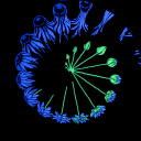 avatar Kacey2K ケイシー