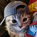 avatar Kacey
