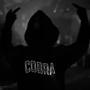 cobra00
