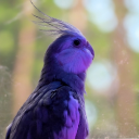 avatar j6rmo