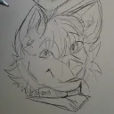 not_kabosu