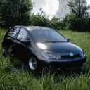 vareyz