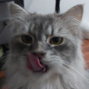 avatar 𝕄𝔸𝕊𝕋𝔼ℝ