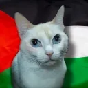 nemdevil avatar