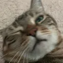 nonkmoment