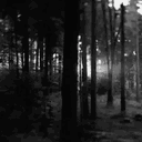 xavier_420