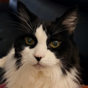 avatar 🫧Beatrix🫧