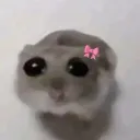 the_midnight_meow