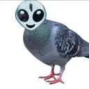 balbin27 avatar