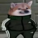 beanshapiro0277