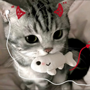 sisu profile picture