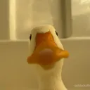 einwyldesblutendo