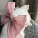 avatar ⋆⁺₊⋆ ♡̷̷̷