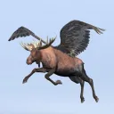 mooseroos_