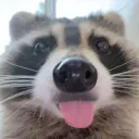 rawtoastz
