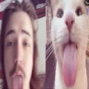 __radical__