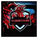gabrielvd994346