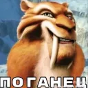software1
