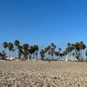 danonovs