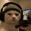 traffy_c
