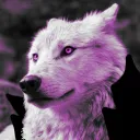 notsafefromwolves