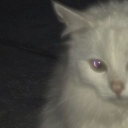 avatar aeri