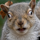 Discord Avatar