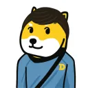 alex.mydogecto