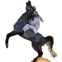 fl966