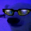 saymgo