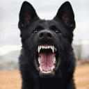 avatar MOONLIKAIA   🌙MooN ☽