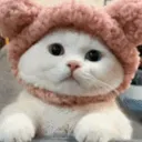 anneegurung