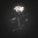 Luna's avatar