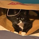 thepootispower
