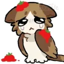 goustabo