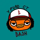 not_bashh
