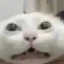 soap.js