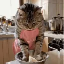 coinbaker