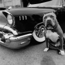 avatar ☁ RobertKurwica