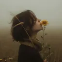 top_of_the_top