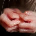 rattyjack2988