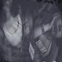 n0ctra.cs