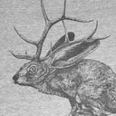 nodawaru