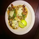 garrapatita13
