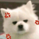 avatar Fancysx (lagi sengsitip)