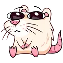 bebrafloss