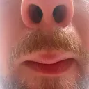 lefac
