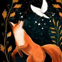 foxdimension