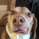 Doc