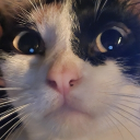 avatar Bulletstorm0011